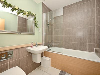 Picture 20